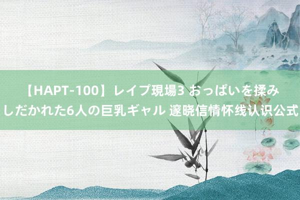 【HAPT-100】レイプ現場3 おっぱいを揉みしだかれた6人の巨乳ギャル 邃晓信情怀线认识公式