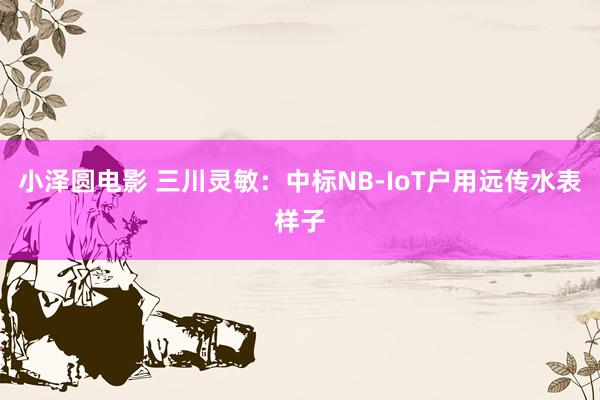 小泽圆电影 三川灵敏：中标NB-IoT户用远传水表样子