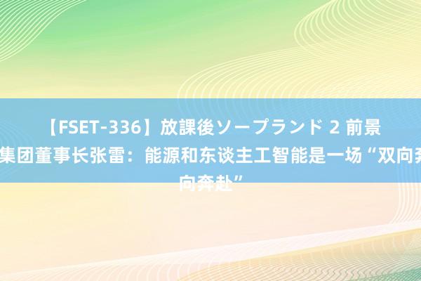 【FSET-336】放課後ソープランド 2 前景科技集团董事长张雷：能源和东谈主工智能是一场“双向奔赴”