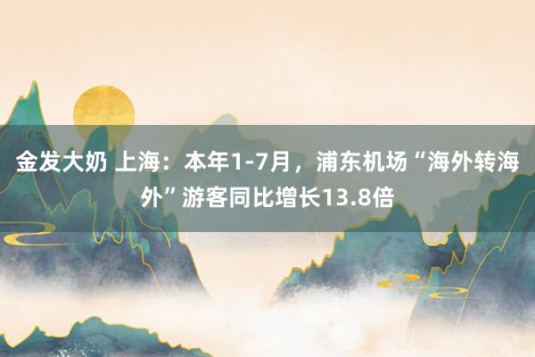 金发大奶 上海：本年1-7月，浦东机场“海外转海外”游客同比增长13.8倍