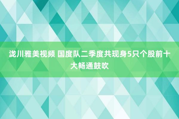 泷川雅美视频 国度队二季度共现身5只个股前十大畅通鼓吹