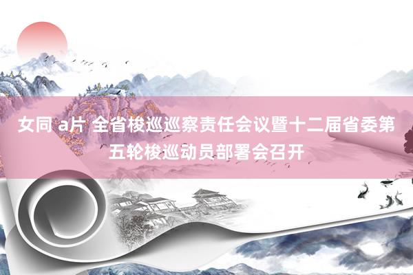 女同 a片 全省梭巡巡察责任会议暨十二届省委第五轮梭巡动员部署会召开