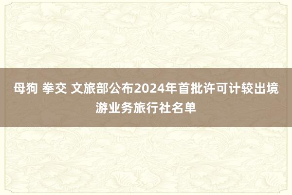 母狗 拳交 文旅部公布2024年首批许可计较出境游业务旅行社名单