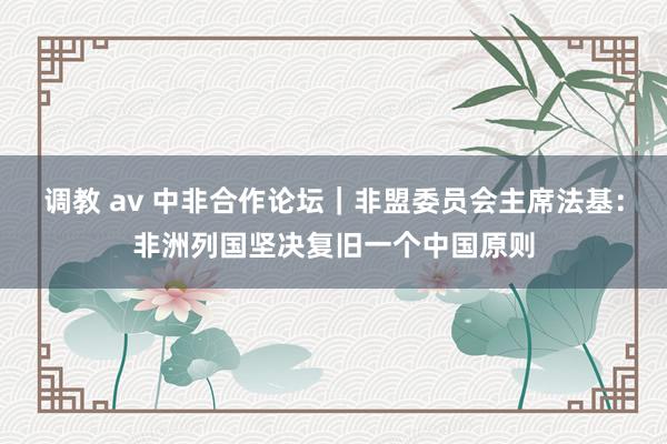 调教 av 中非合作论坛｜非盟委员会主席法基：非洲列国坚决复旧一个中国原则