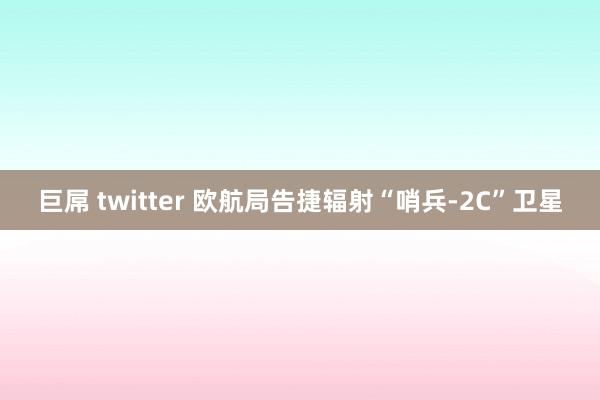 巨屌 twitter 欧航局告捷辐射“哨兵-2C”卫星