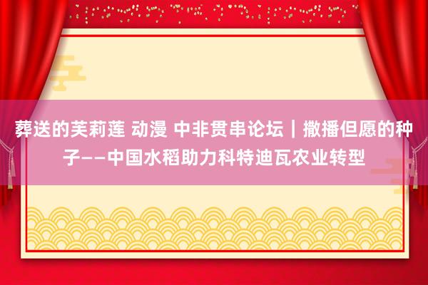 葬送的芙莉莲 动漫 中非贯串论坛｜撒播但愿的种子——中国水稻助力科特迪瓦农业转型