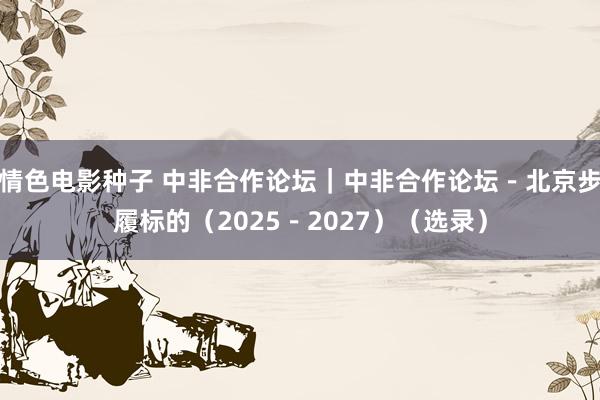 情色电影种子 中非合作论坛｜中非合作论坛－北京步履标的（2025－2027）（选录）