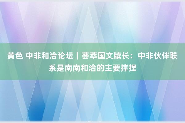 黄色 中非和洽论坛｜荟萃国文牍长：中非伙伴联系是南南和洽的主要撑捏