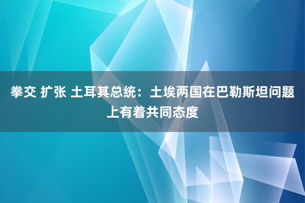 拳交 扩张 土耳其总统：土埃两国在巴勒斯坦问题上有着共同态度