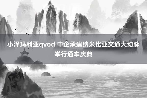 小泽玛利亚qvod 中企承建纳米比亚交通大动脉举行通车庆典