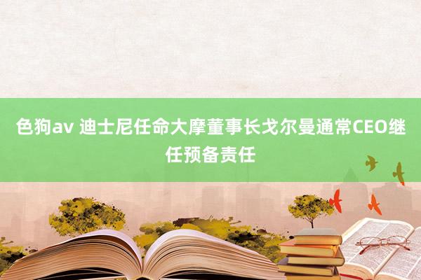 色狗av 迪士尼任命大摩董事长戈尔曼通常CEO继任预备责任