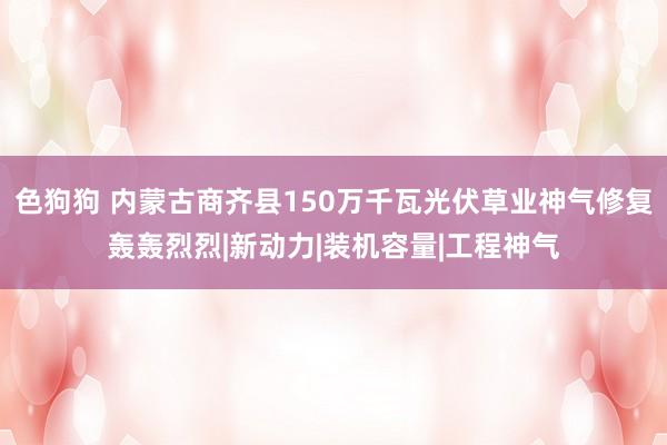 色狗狗 内蒙古商齐县150万千瓦光伏草业神气修复轰轰烈烈|新动力|装机容量|工程神气