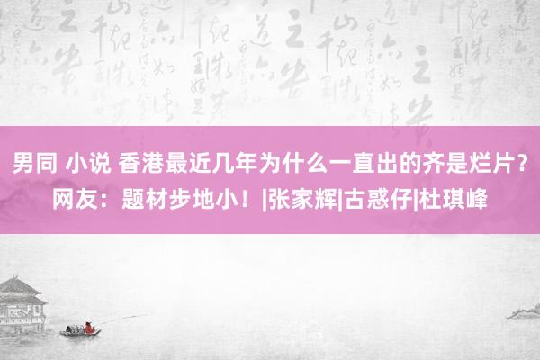 男同 小说 香港最近几年为什么一直出的齐是烂片？网友：题材步地小！|张家辉|古惑仔|杜琪峰